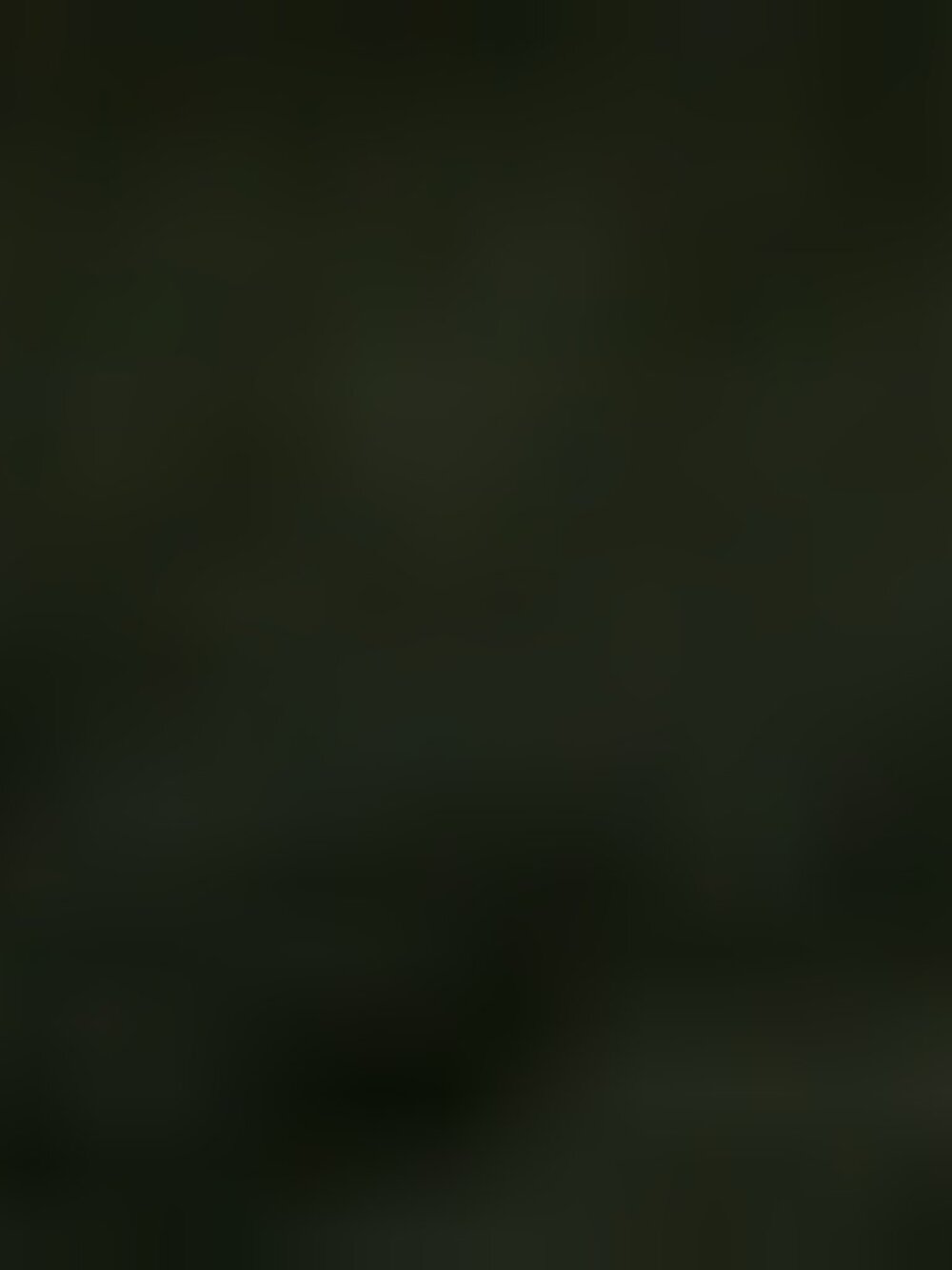 Vans Gray Corduroy Slip Ins